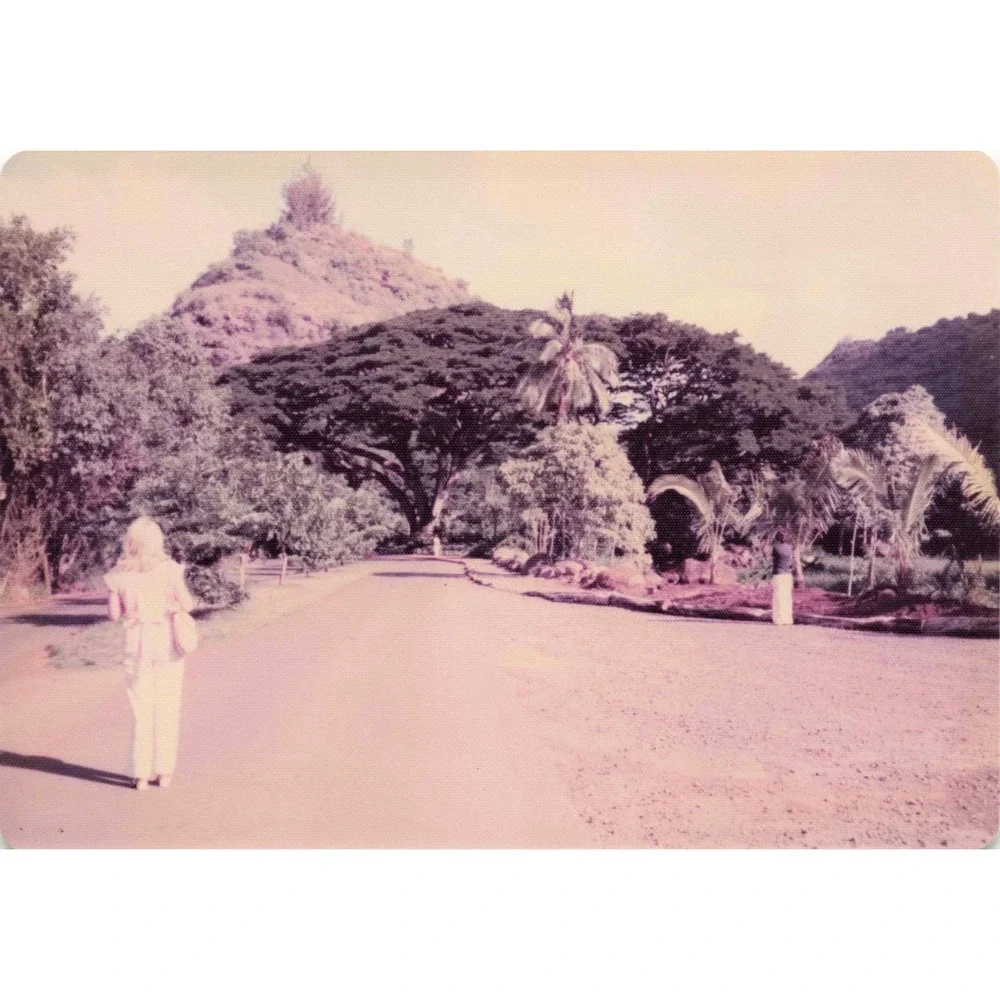 Vintage 1970s Hawaii Oahu Volcanic Hill Garden Peafowl Photo Lot of 6 - Picture 3 of 6